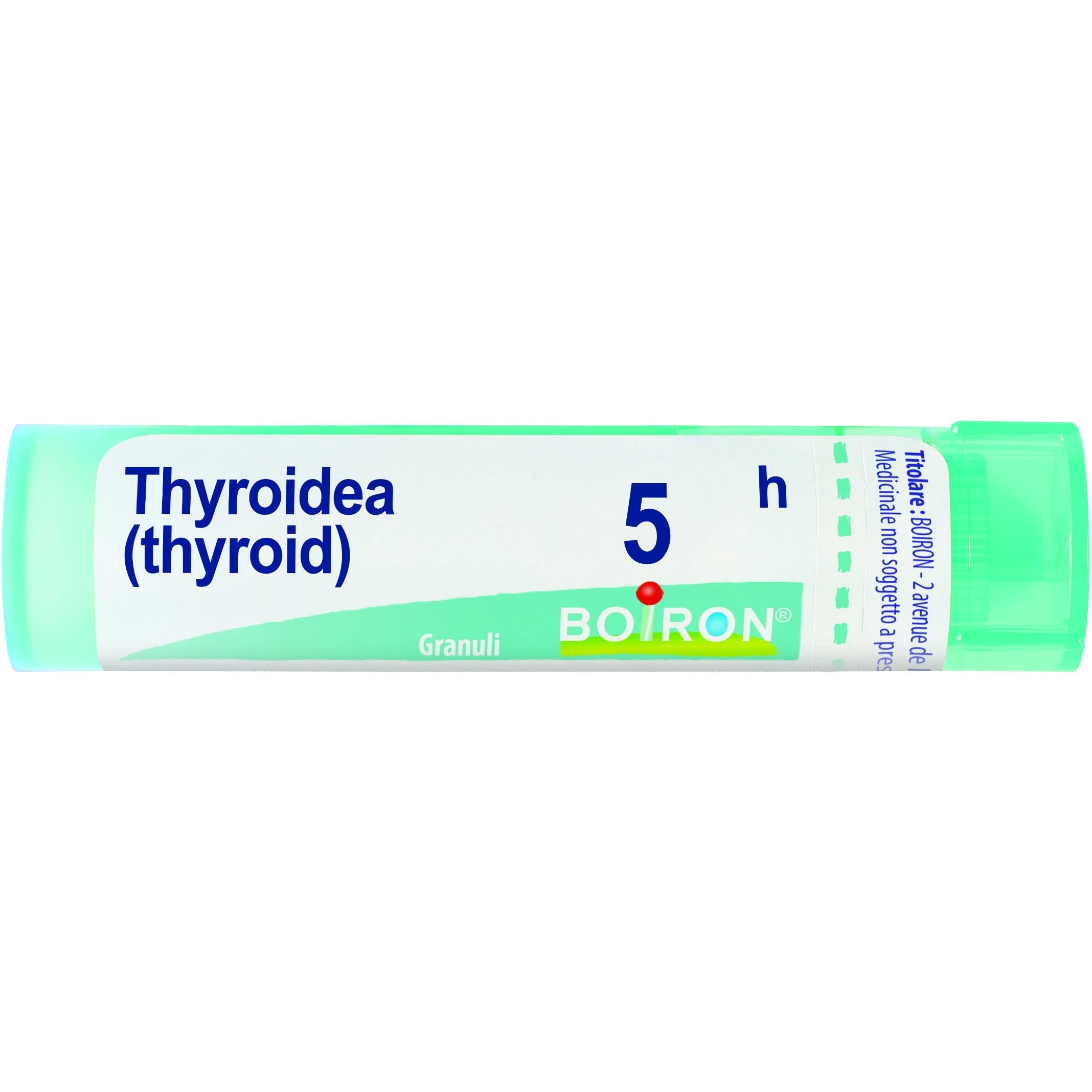 Boiron Thyroidea (Thyroidinum) Granuli 05H Tubo 4g  - 1