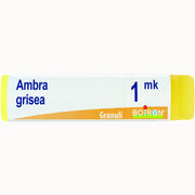 Boiron Ambra Grisea Globuli 1Mk Dose 1g  - 2
