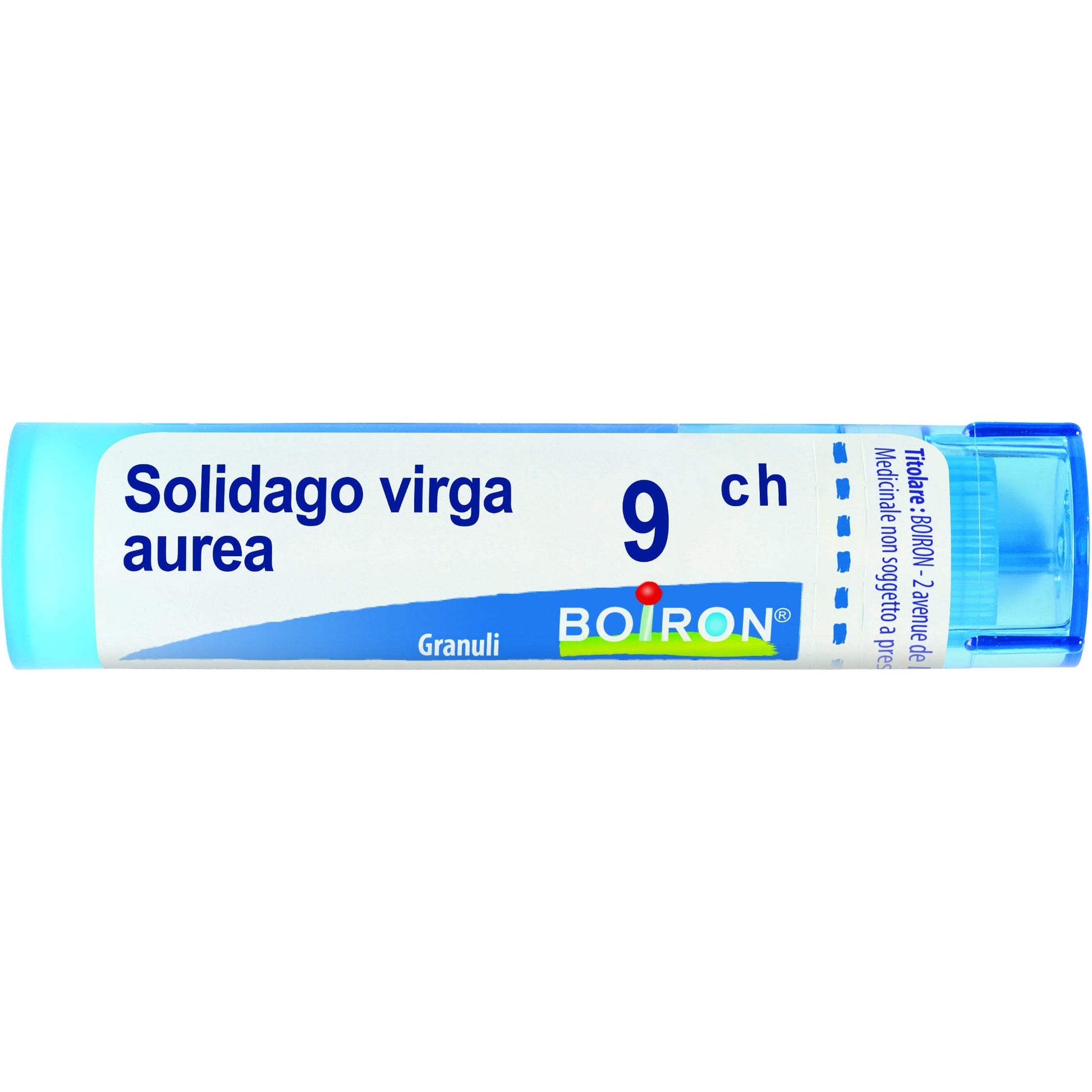 Boiron Solidago Virga Aurea Granuli 09Ch Tubo 4g  - 1
