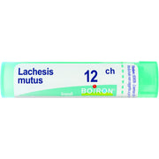 Boiron Lachesis Mutus Granuli 12Ch Tubo 4g  - 1