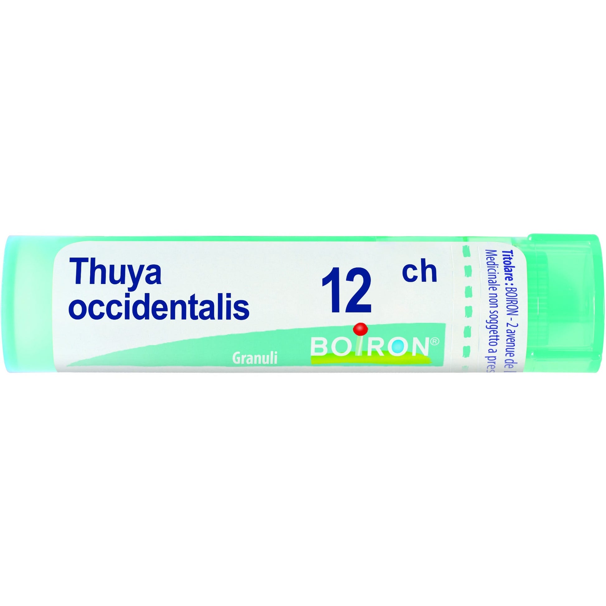Boiron Thuya Occidentalis Granuli 12Ch Tubo 4g  - 1