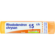 Boiron Rhododendron Chrysan Granuli 15Ch Tubo 4g  - 1
