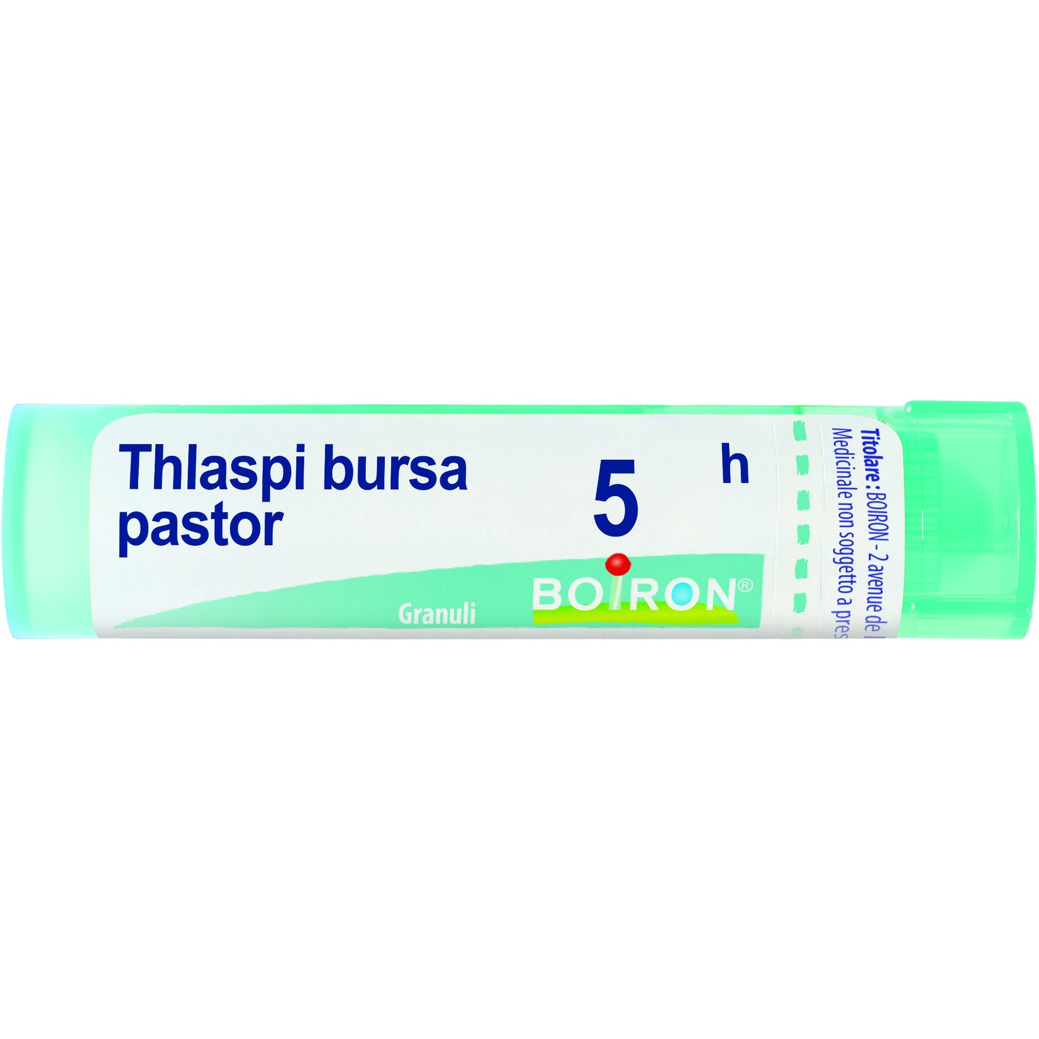Boiron Thlaspi Bursa Pastor Granuli 05H Tubo 4g  - 1