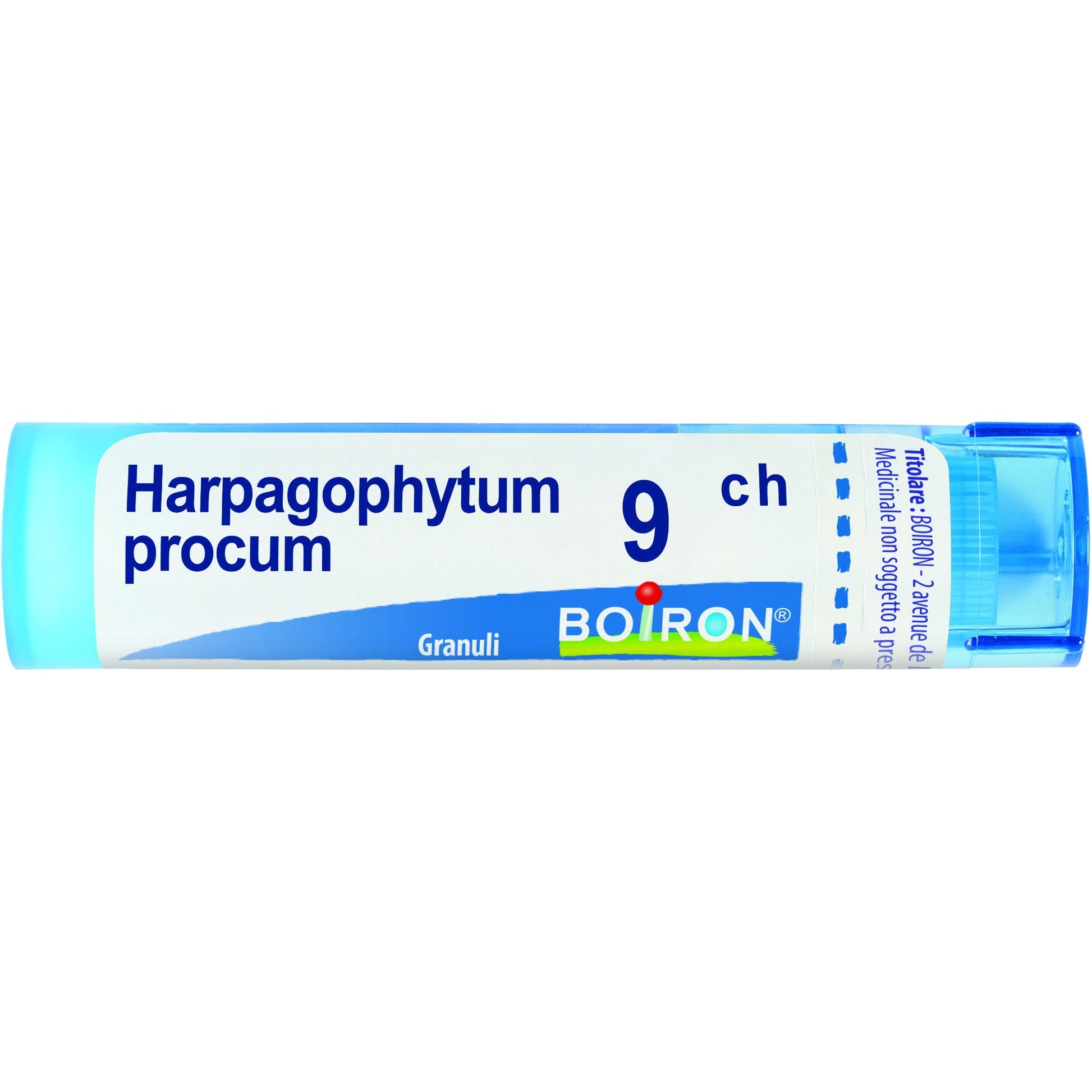 Boiron Harpagophytum Procumbens Granuli 09Ch Tubo 4g - 1