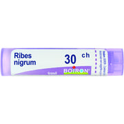 Boiron Ribes Nigrum Granuli 30Ch Tubo 4g - 2