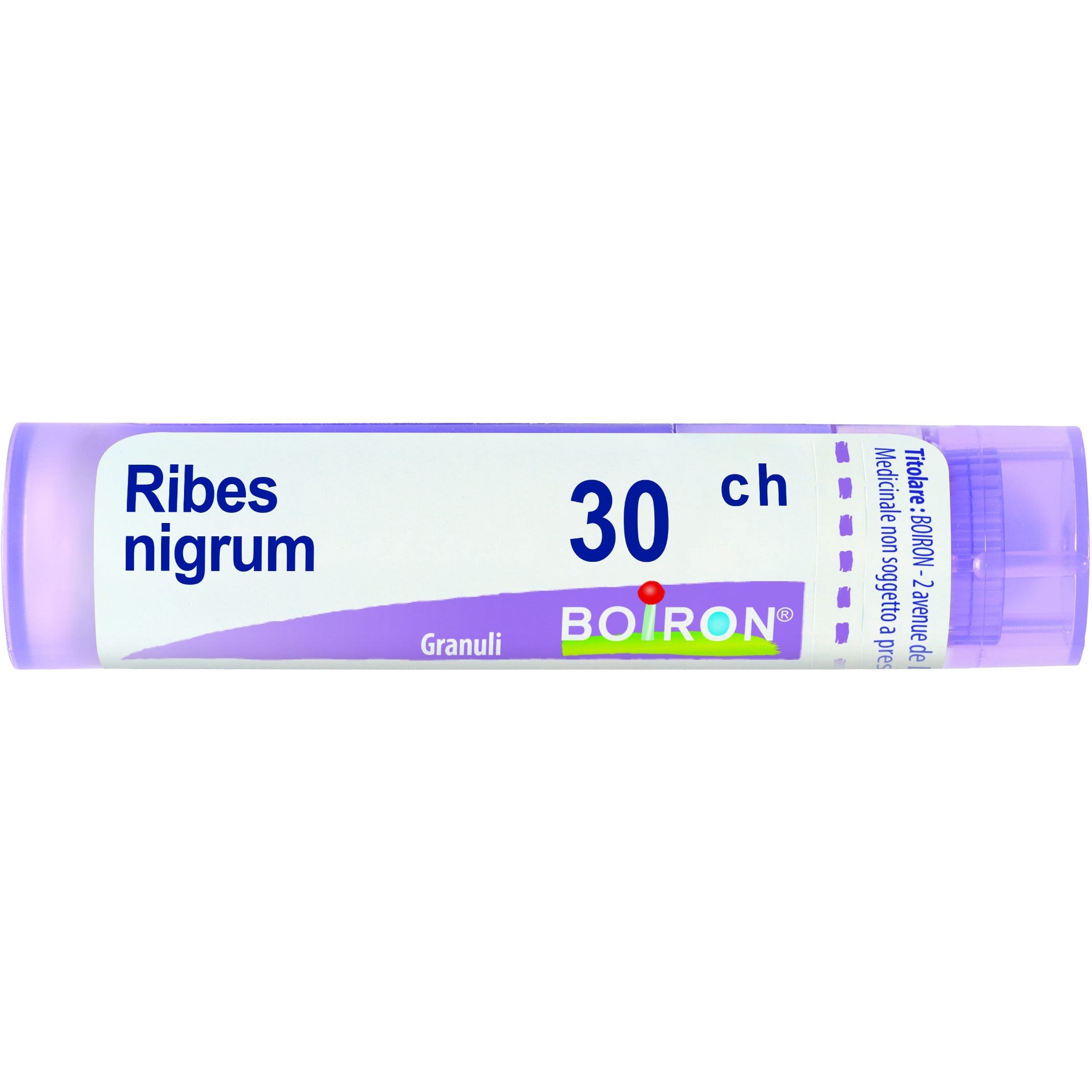 Boiron Ribes Nigrum Granuli 30Ch Tubo 4g - 2