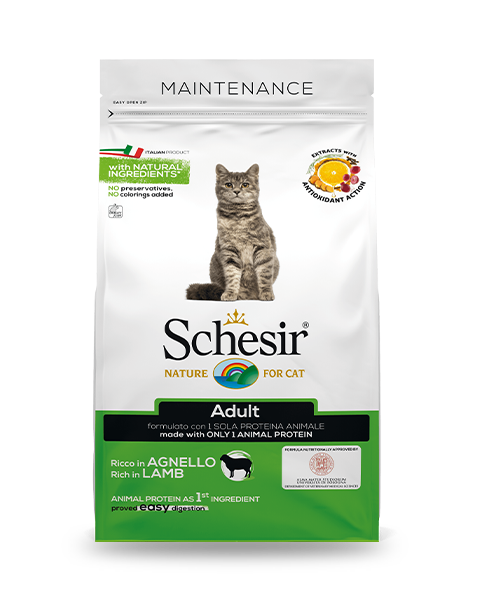 Schesir Adult Crocchette Gatti Adulti Ricco In Agnello Sacco 400 g-3