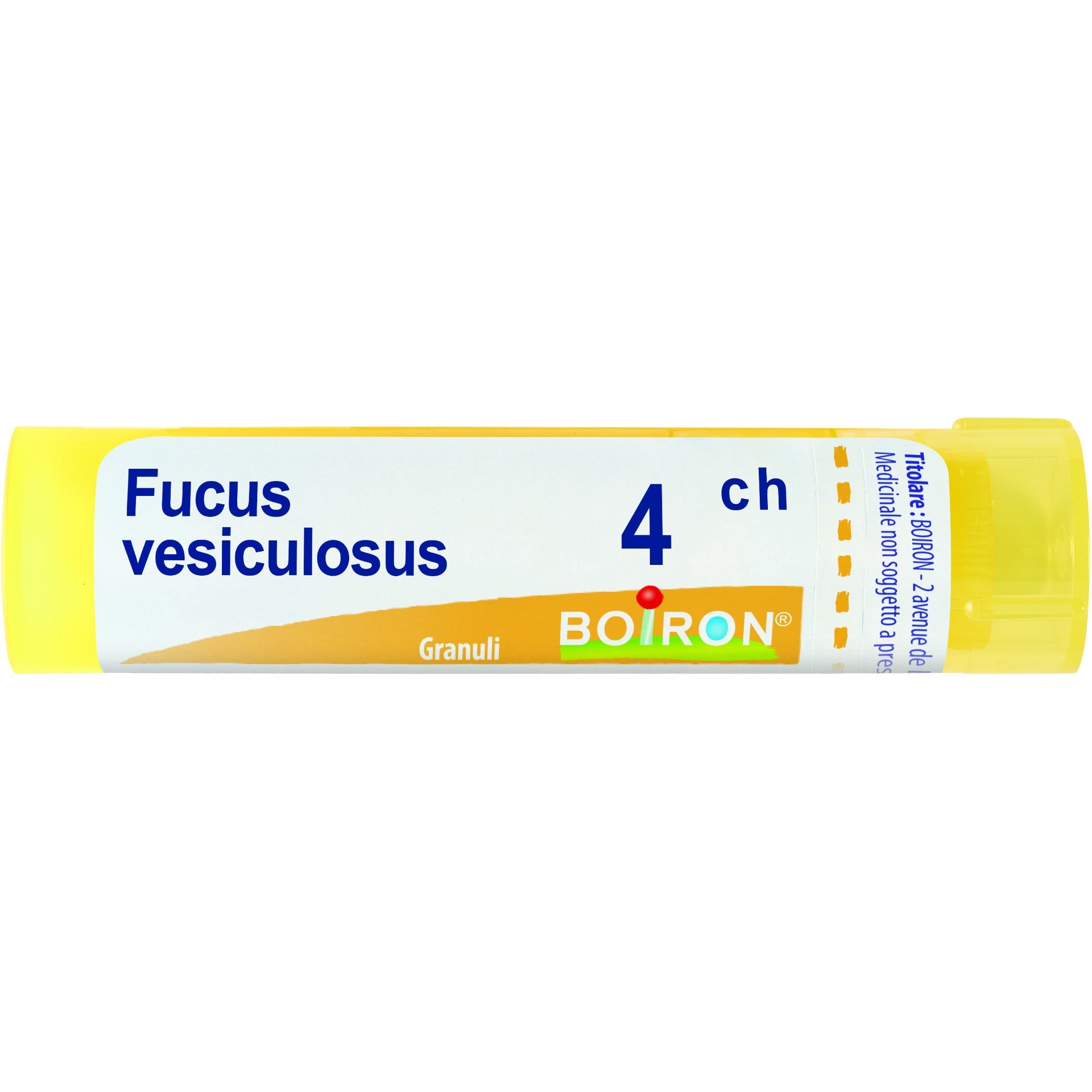 Boiron Fucus Vesiculosus Granuli 04Ch Tubo 4g - 1