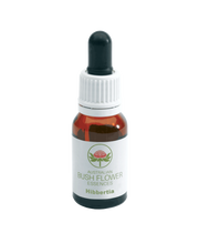 Hibbertia Gocce 15ml  - 2
