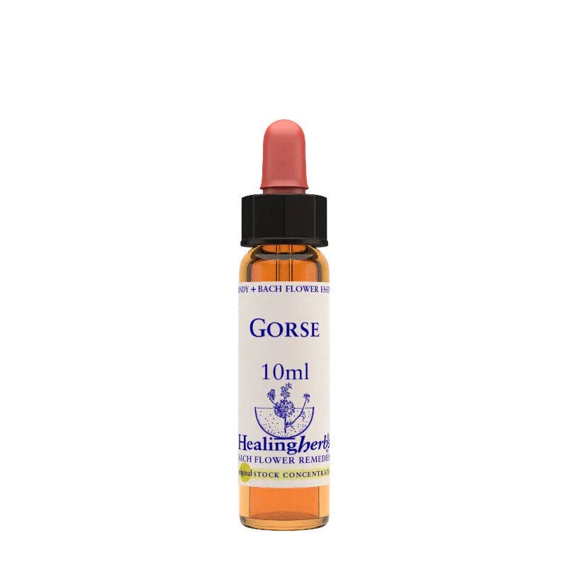 Natur Fiori Di Bach Healing Herbs Gorse 10ml-1