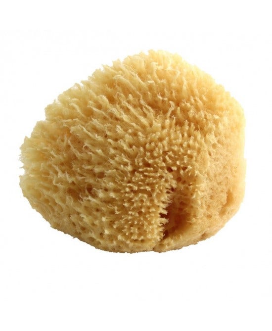 Spugna Naturale Media 1 Pezzo  - 1