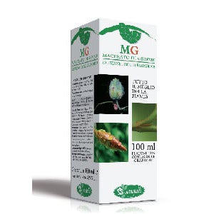 Carpino Macerato Di Gemme 100ml-2