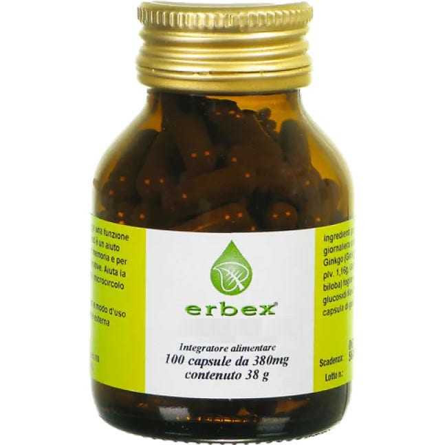 Ginkgo Biloba 100 Capsule 380mg-2