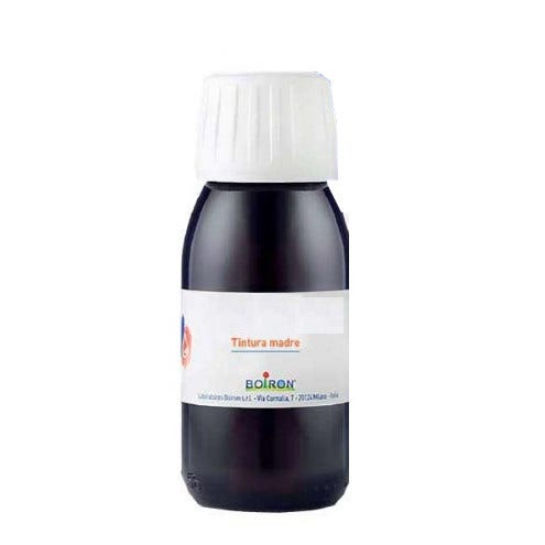 Arnica Montana Tintura Madre 60ml  - 3
