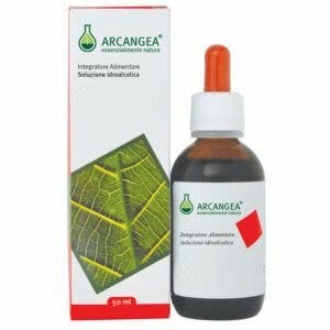 Arcangea Desmodium Soluzione Idroalcolica 50ml-1