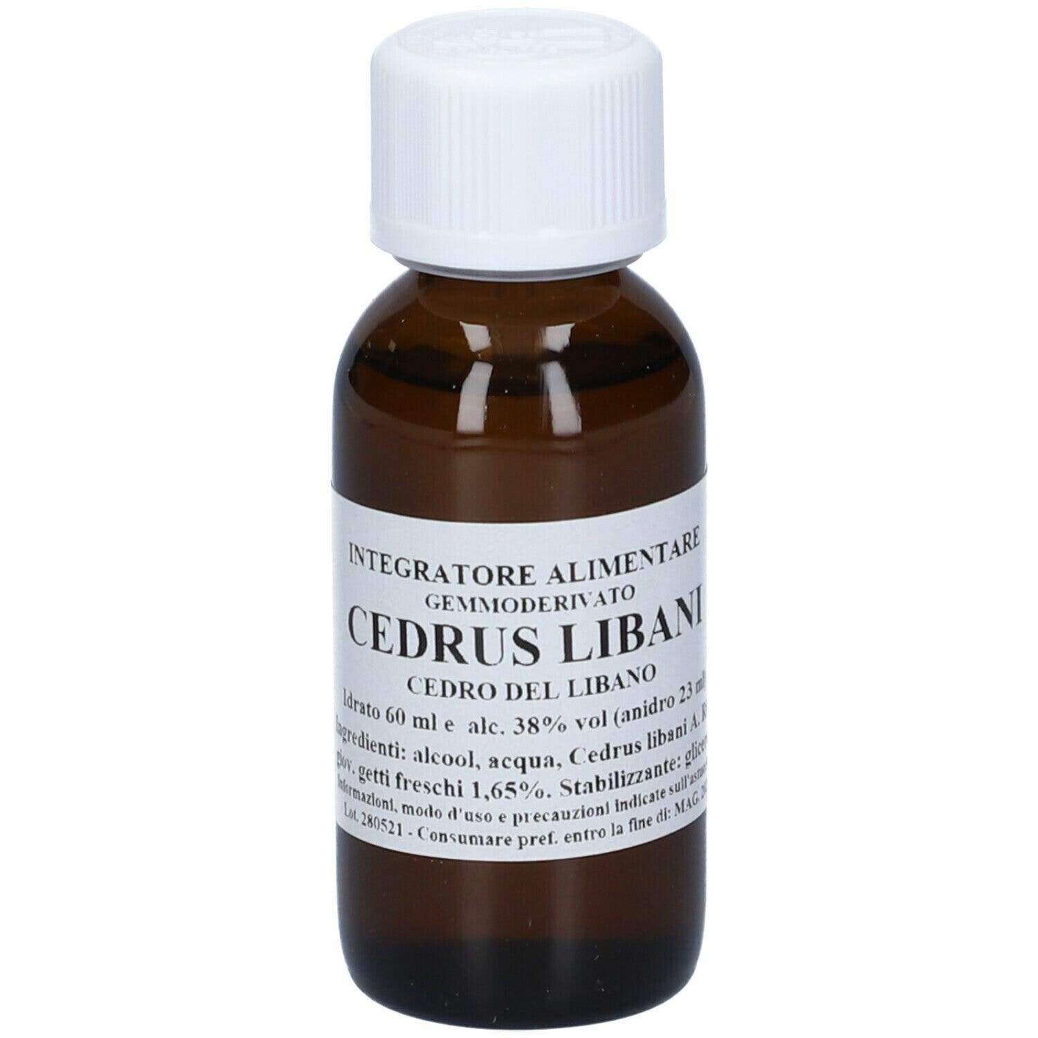 Sarandrea Cedrus Libani Macerato di Gemme 60ml-1