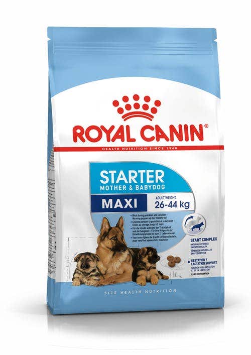 Royal Canin Starter Mother&Babydog Crocchette Per Cagne E Cuccioli Taglia Grande Sacco 4kg-1