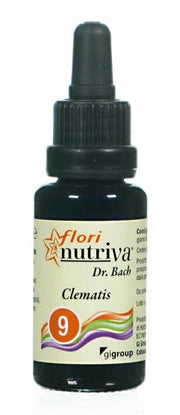 CLEMATIS FLORI NUTRIVA-1