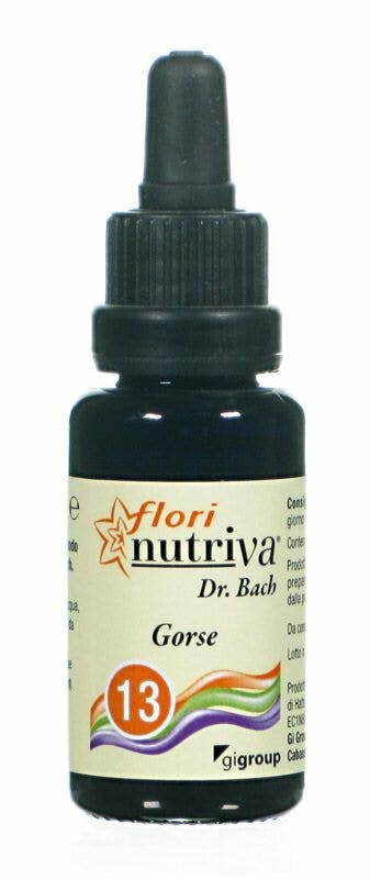 GORSE FLORI NUTRIVA-1