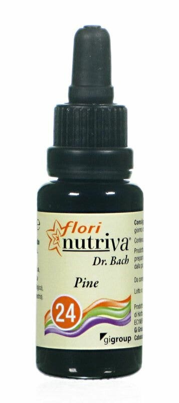 PINE FLORI NUTRIVA-1