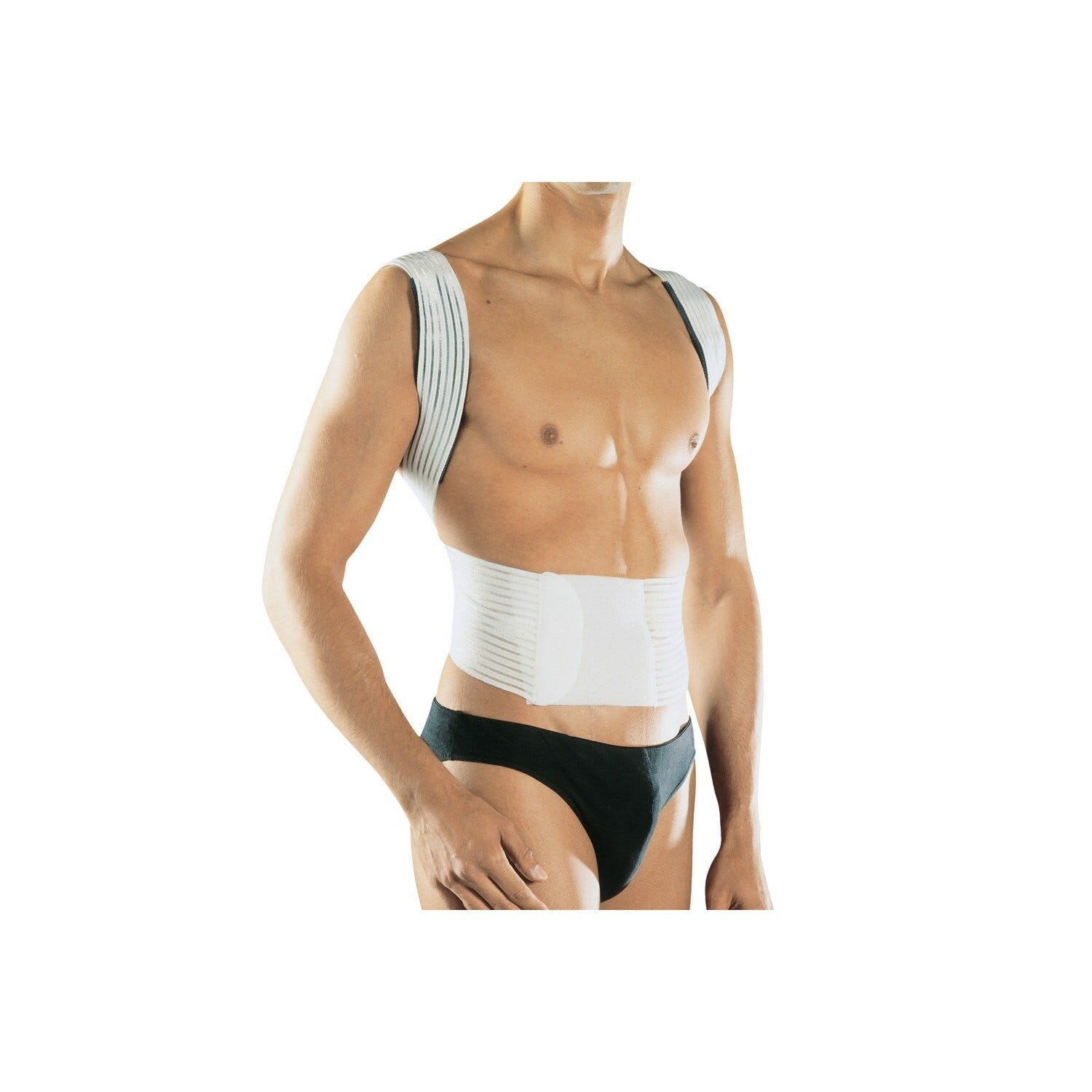 Pavis New Edge 576 Raddrizzaspalle Taglia XXL-1