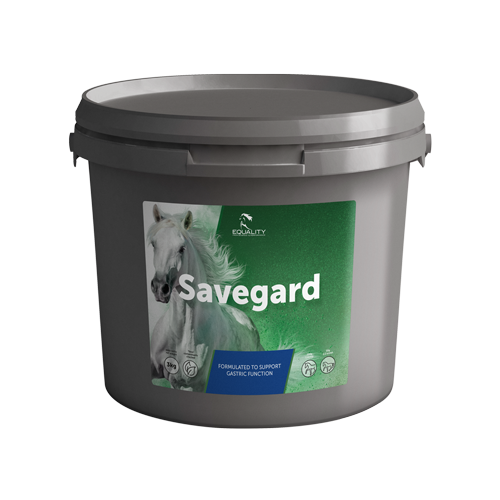 Savegard Miscela Per La Funzionalità Gastrica Equini 3Kg-1