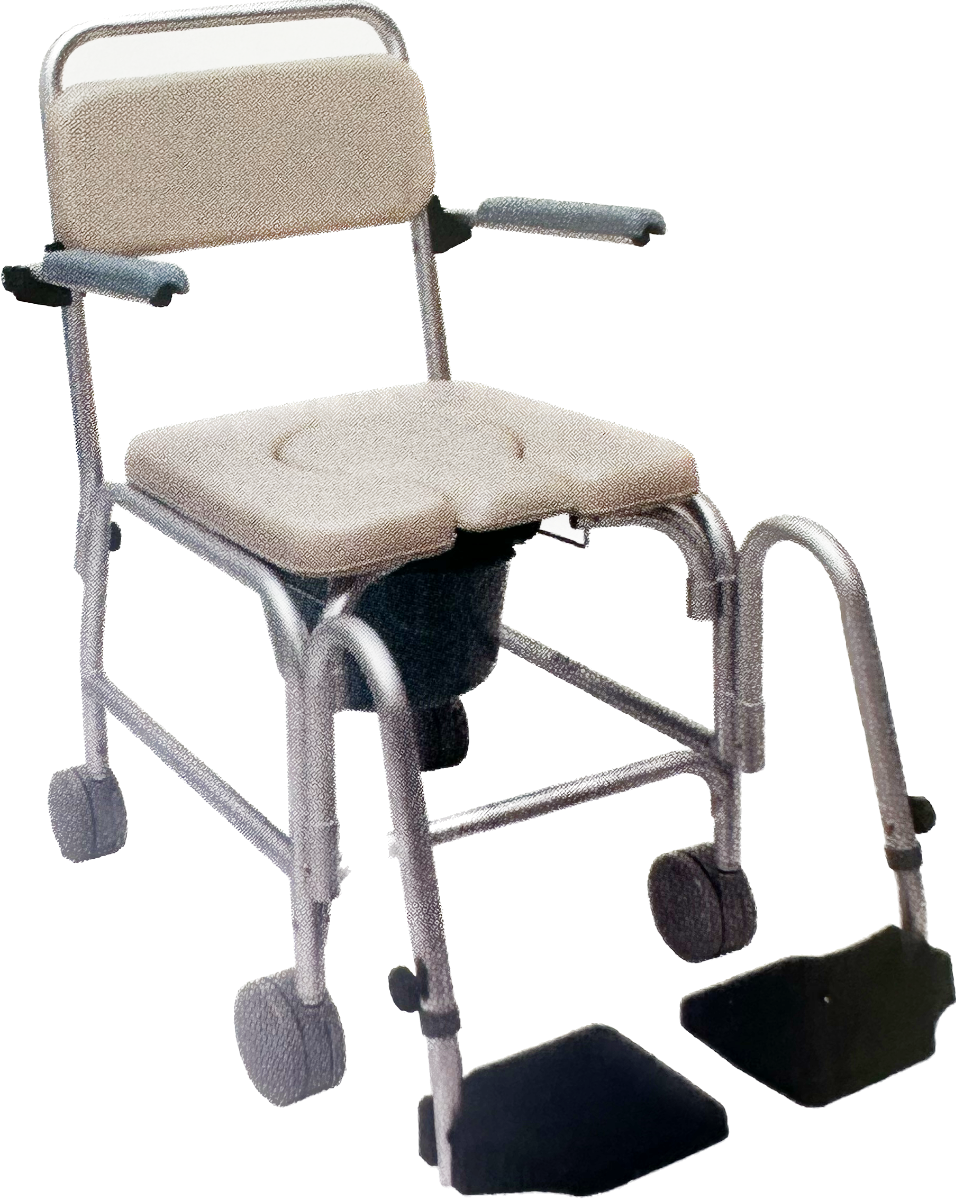 Sedia Comoda Da Doccia E Wc SE2-4