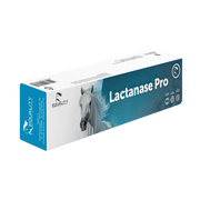 Lactanase Pro Pasta Orale Per Equini Sportivi Siringa 50g-1