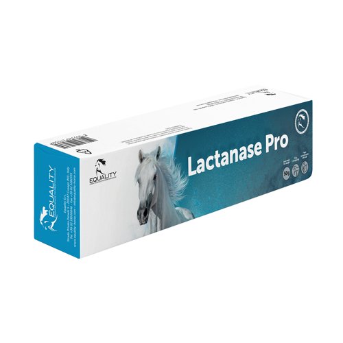 Lactanase Pro Pasta Orale Per Equini Sportivi Siringa 50g-1