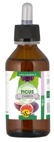 Ficus Carica Gemmodeivato 100ml-1