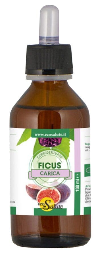 Ficus Carica Gemmodeivato 100ml-1