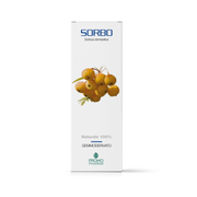 Promopharma Sorbo Gemmoderivato 50ml-2