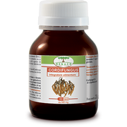 Cordifungus 60 Capsule-2