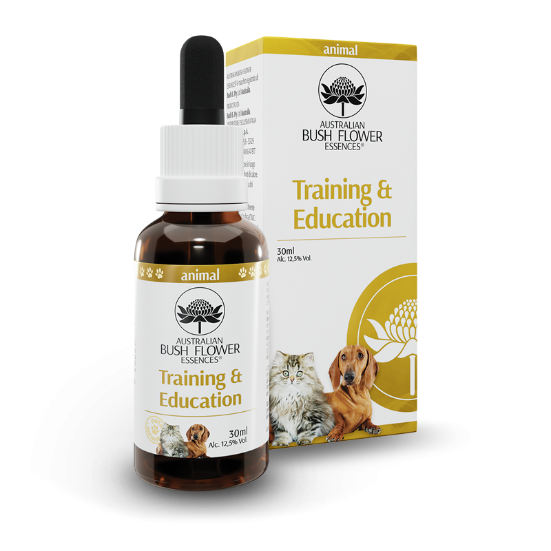 Australian Bush Flower Essences Training&Education 30ml-3