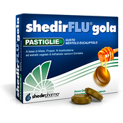 Shedirflu Gola Mentolo Eucaliptolo 48 Pastiglie-1