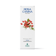 Promopharma Rosa Canina Gemmoderivato 50ml-2