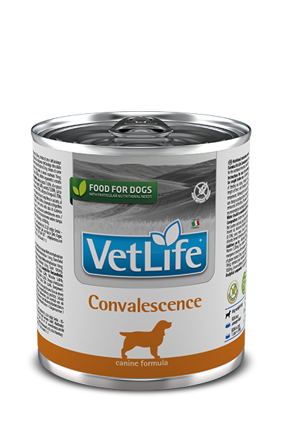 Farmina Vet Life Convalescence Cibo Umido Per Cani Lattina 300g-1