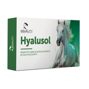 Hyalusol Aerosol Ambientale Per Equini 10 Flaconi Monodose Da 8ml-1
