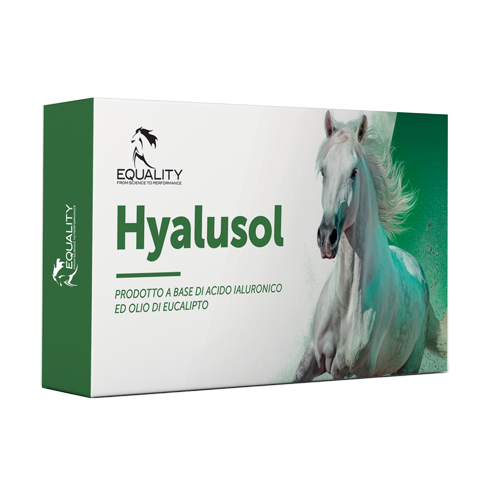 Hyalusol Aerosol Ambientale Per Equini 10 Flaconi Monodose Da 8ml-1