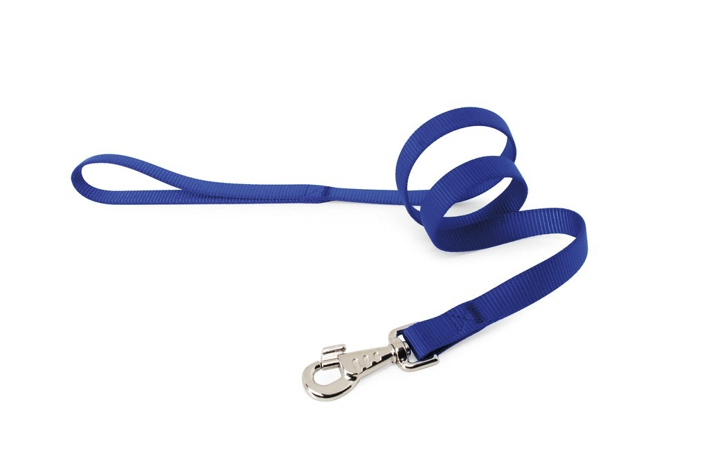Camon Guinzaglio In Nylon Per Cani Colore Blu Scuro 25x1000mm-1