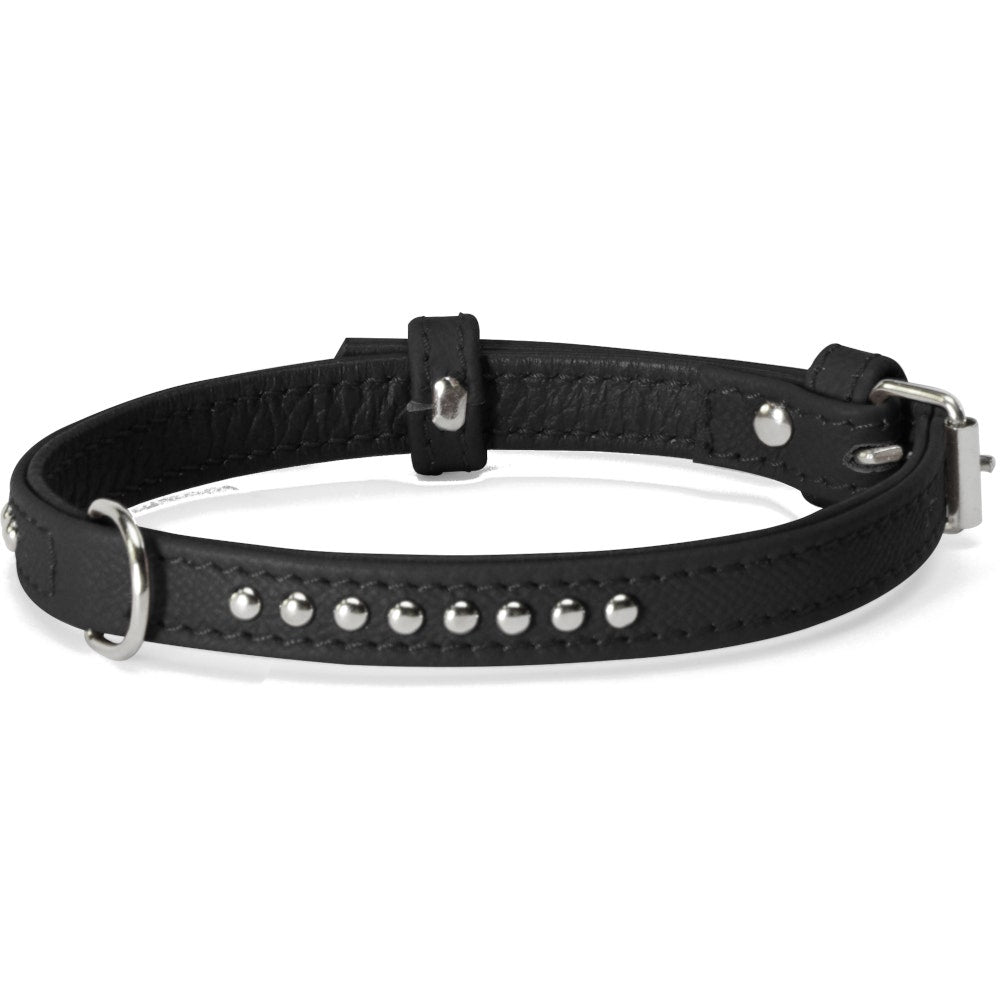 Camon Collare Con Borchiette Nero 15x450mm-3