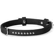 Camon Collare Con Borchiette Per Cani Colore Nero 35x650mm-1