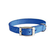 Camon Collare In Nylon Per Cani Colore Blu 15x450mm-1