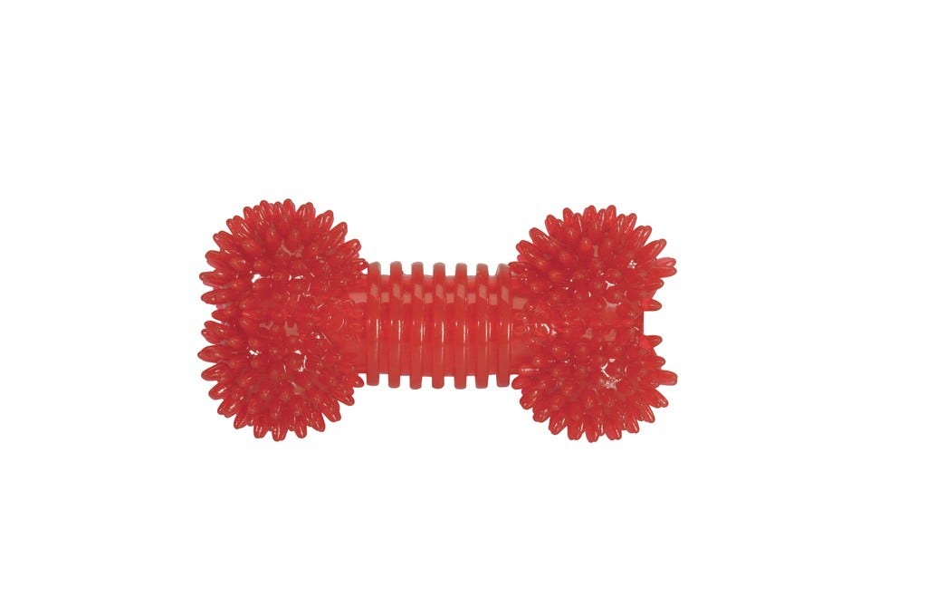 Camon Gioco Osso Con Punte E Squeaker Per Cani -1