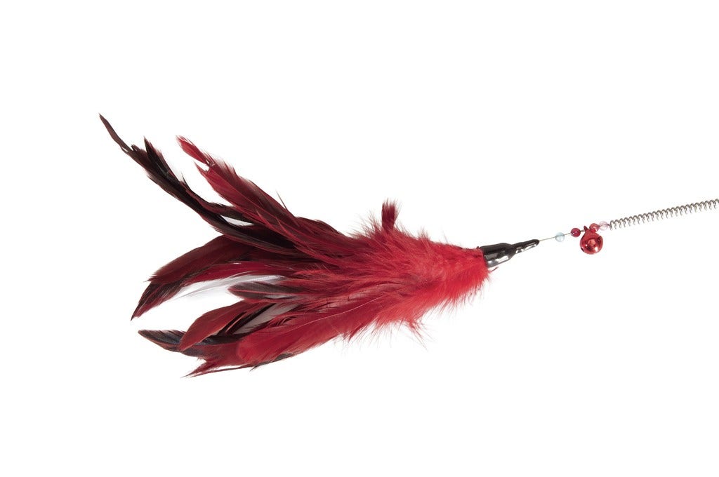 Camon Gioco Gatto Cannetta Con Molla-1