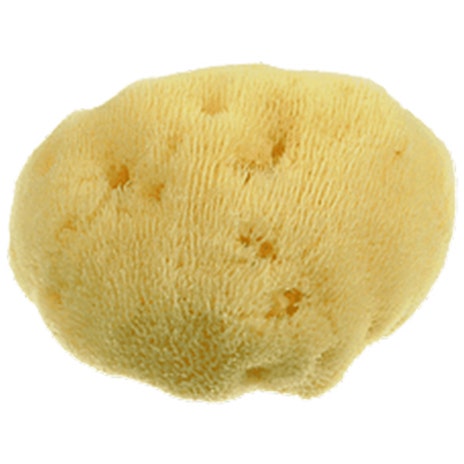 Alcea Spugna Di Mare Sbaincante Fine Dama 7cm Naturale Anallergica -2