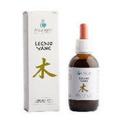 Arcangea Legno Yang Soluzione Idroalcolica 50ml-1