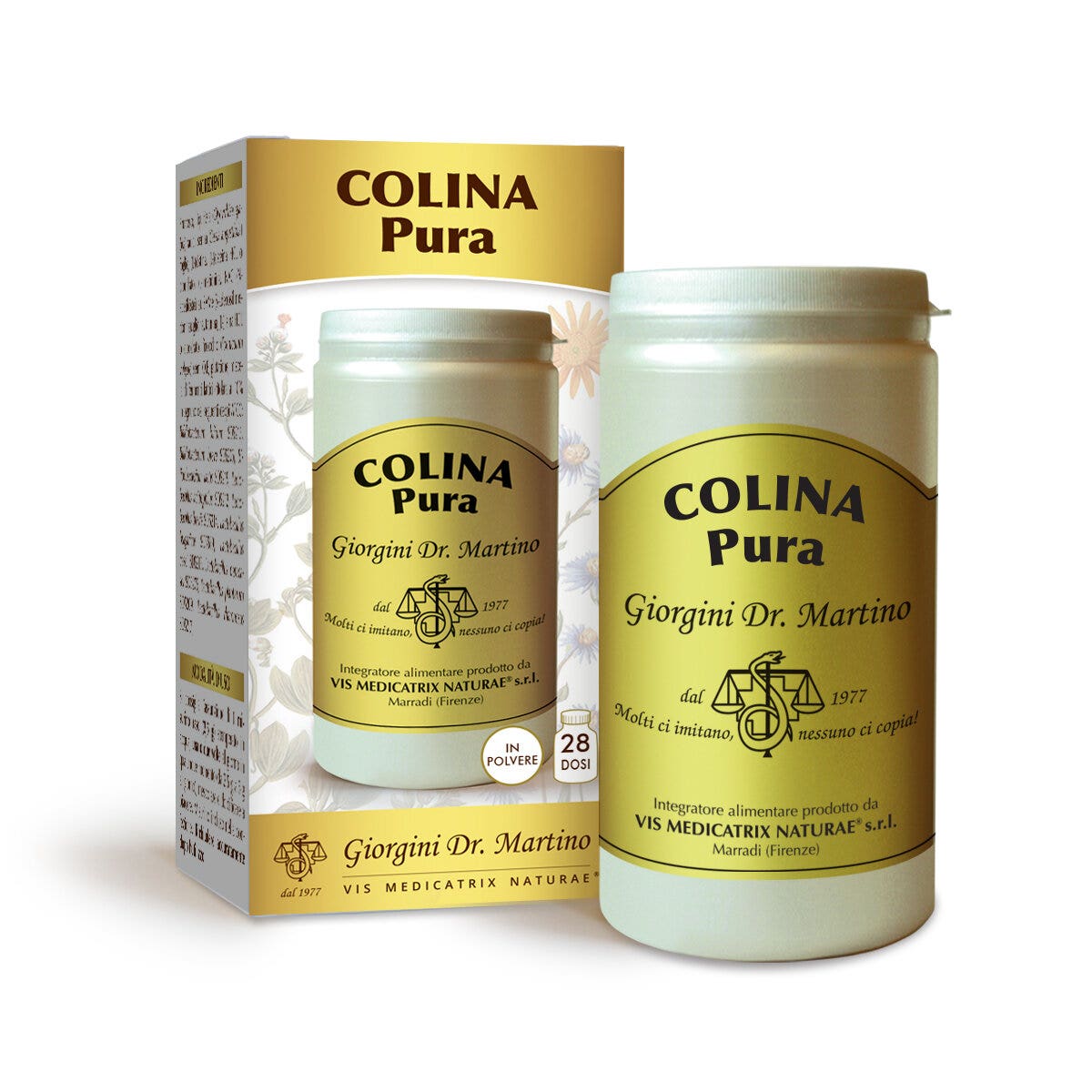 Dr.Giorgini Colina Puro Polvere Solubile 100g-1