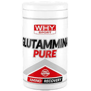 Why Sport Glutammina Pure 500g-1