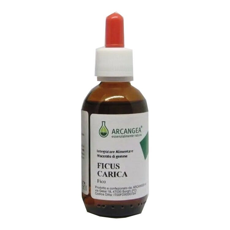 Arcangea Ficus Carica Bio 33 Gradi Gemmoderivato 100ml-1